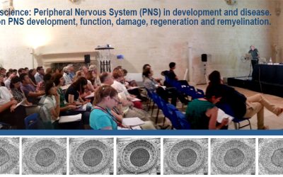 In corso la Summer School del Dhitech sulle Neuroscienze