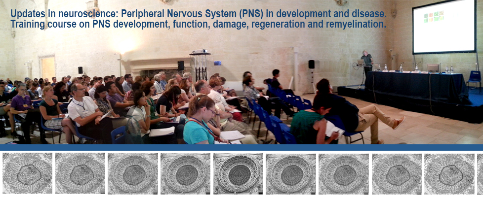 In corso la Summer School del Dhitech sulle Neuroscienze