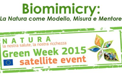 BIOMIMICRY: ECCO L’INNOVAZIONE ISPIRATA DALLA NATURA