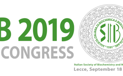 SIB 2019 60th Congress